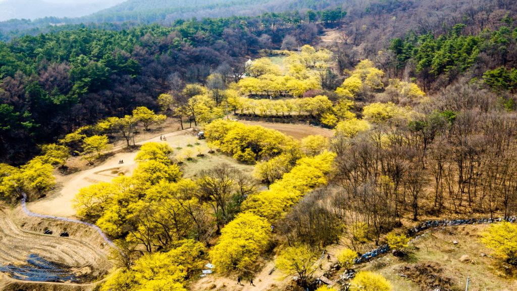 [1024]DJI_0049.jpg