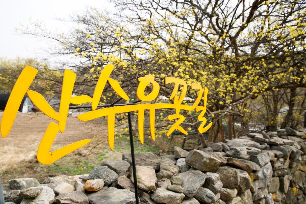 산수유마을