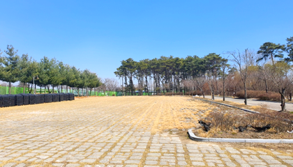 체육공원 주차장