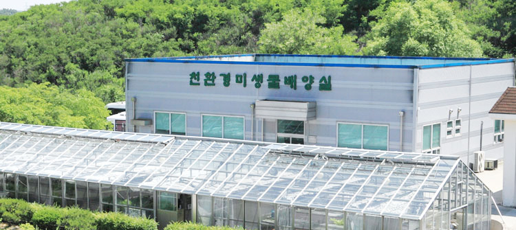 친환경미생물배양실 활동이미지